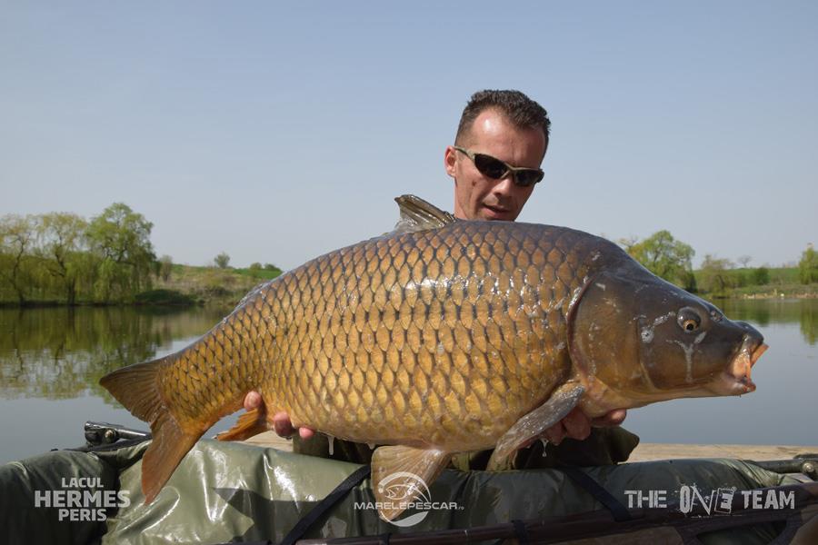 Hermes Peris 4 - 6 aprilie 2016 - dsc0167.jpg